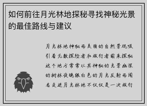 如何前往月光林地探秘寻找神秘光景的最佳路线与建议
